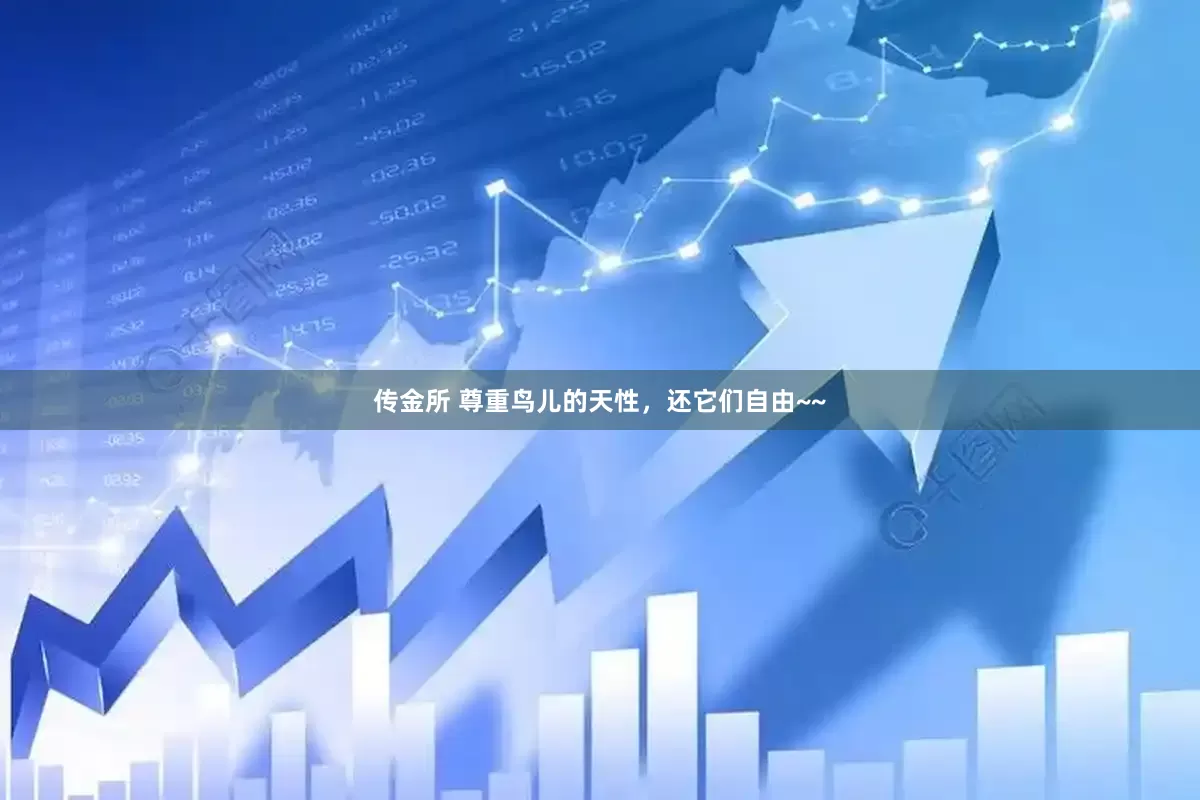 传金所 尊重鸟儿的天性，还它们自由~~