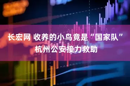 长宏网 收养的小鸟竟是“国家队” 杭州公安接力救助