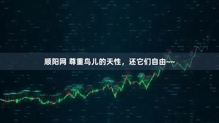 顺阳网 尊重鸟儿的天性，还它们自由~~