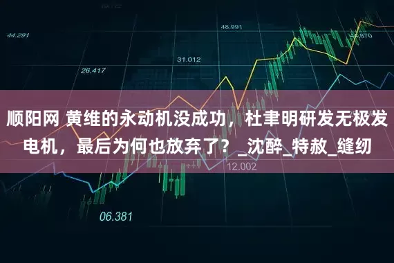 顺阳网 黄维的永动机没成功，杜聿明研发无极发电机，最后为何也放弃了？_沈醉_特赦_缝纫
