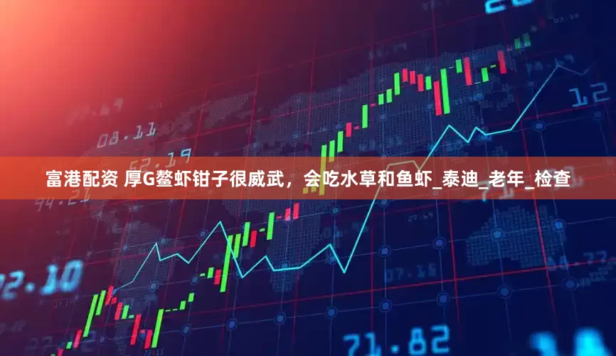 富港配资 厚G鳌虾钳子很威武，会吃水草和鱼虾_泰迪_老年_检查