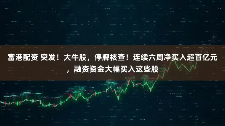 富港配资 突发！大牛股，停牌核查！连续六周净买入超百亿元，融资资金大幅买入这些股
